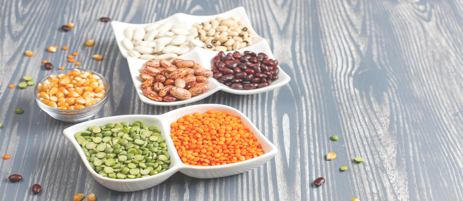 Organic Meals Prepared