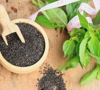 Basil Seeds – Wholesale