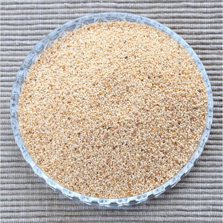 Popsy Seeds( khaskas) – Wholesale