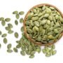 Pumpkin Seeds - Wholesale