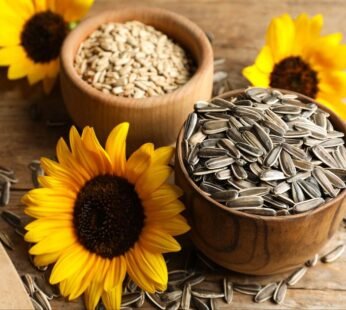 Sunflower Seeds – Wholesale